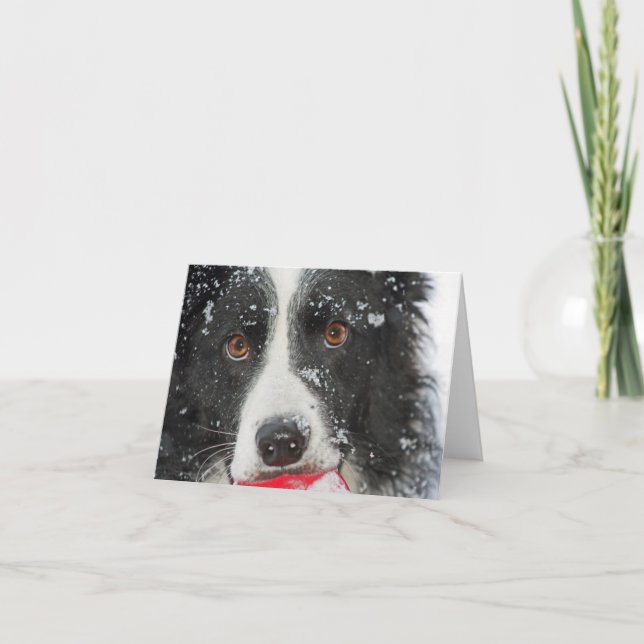 Tarjeta de Navidad del border collie (Anverso)