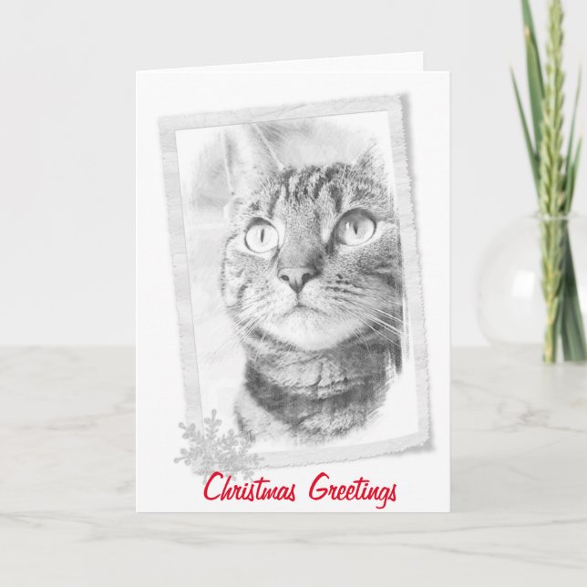 Tarjeta de Navidad del bosquejo del gato de Tabby (Anverso)