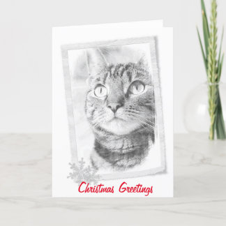 Tarjeta de Navidad del bosquejo del gato de Tabby