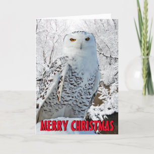 Tarjeta de Navidad del búho Nevado