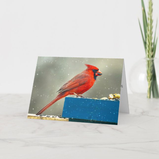 Tarjeta de Navidad del Cardenal de Navidad (Anverso)