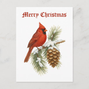 Tarjeta de Navidad del Cardenal en Pino Nevado
