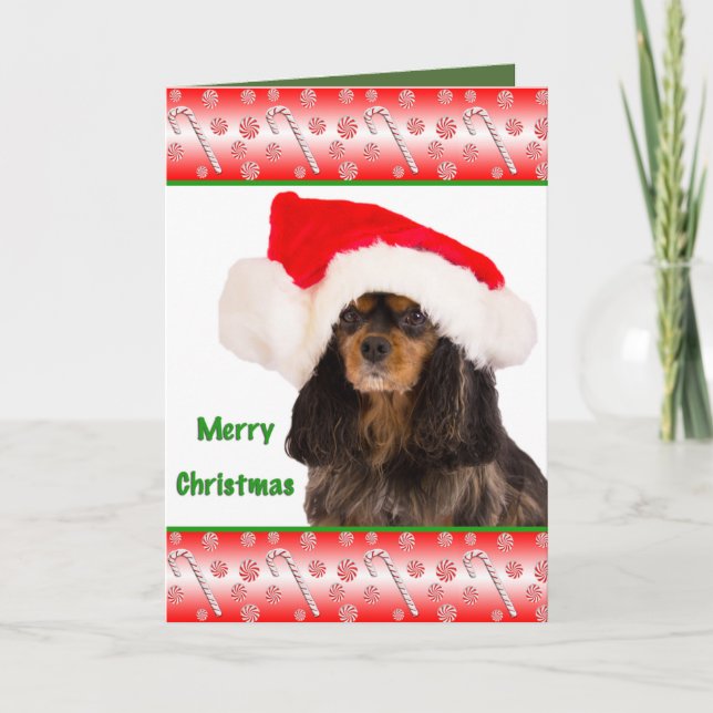 Tarjeta de Navidad del Cavalier King Charles (Anverso)