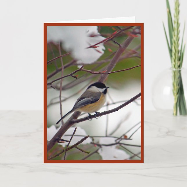 Tarjeta de Navidad del Chickadee (Anverso)
