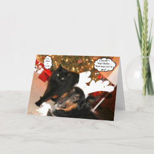 Tarjeta de Navidad del collie divertido y del gato