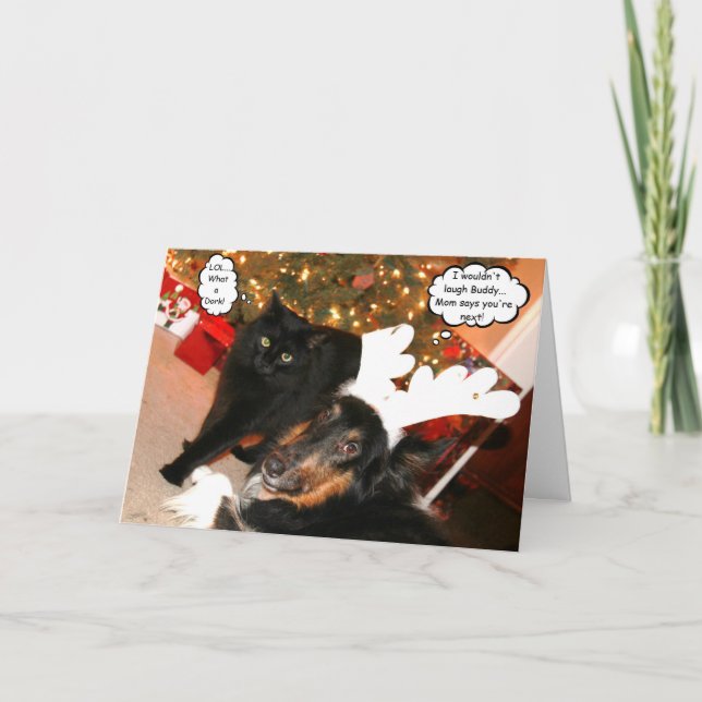 Tarjeta de Navidad del collie divertido y del gato (Anverso)