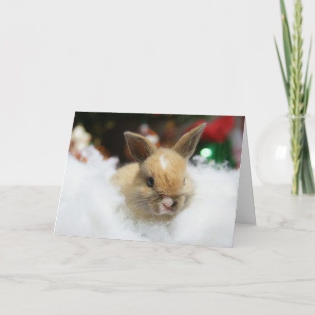 Tarjeta de Navidad del conejo de conejito del bebé (Anverso)