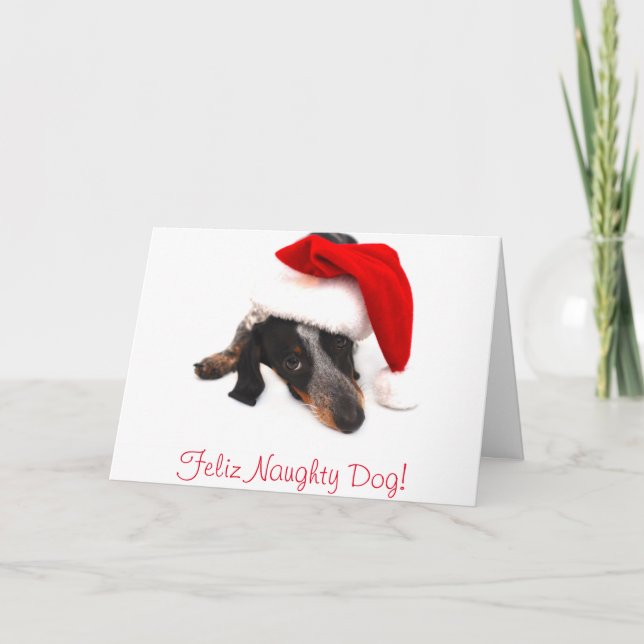 Tarjeta de Navidad del Dachshund (Anverso)