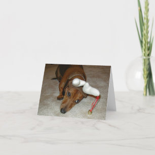 Tarjeta de Navidad del Dachshund - reno reacio
