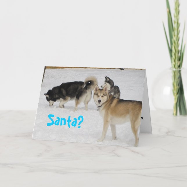 Tarjeta de Navidad del día de fiesta del husky (Anverso)