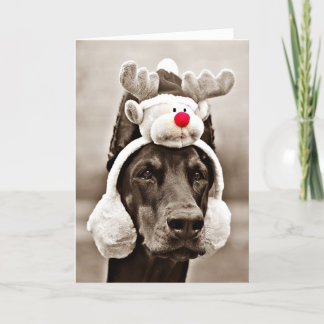 Tarjeta de Navidad del Doberman