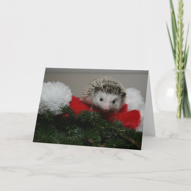 Tarjeta de Navidad del erizo (Anverso)