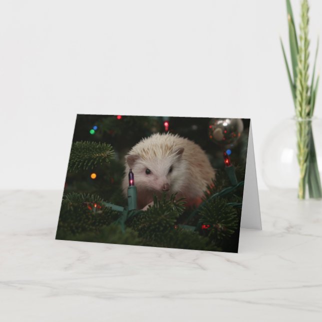 Tarjeta de Navidad del erizo (Anverso)