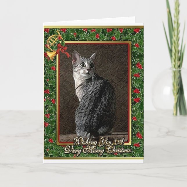 Tarjeta de Navidad del espacio en blanco del gato (Anverso)