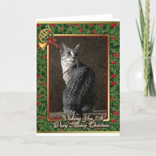 Tarjeta de Navidad del espacio en blanco del gato