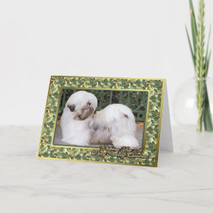 Tarjeta de Navidad del espacio en blanco del perro