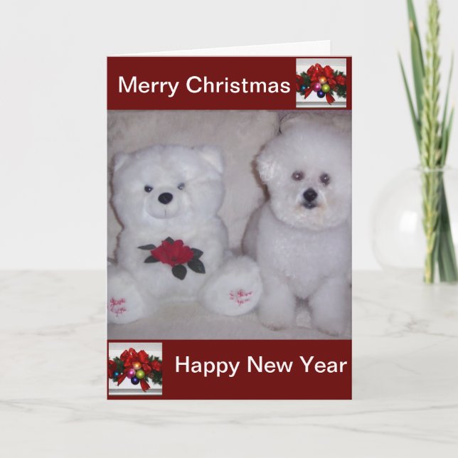 Tarjeta de Navidad del frise de Bichon (Anverso)