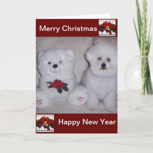 Tarjeta de Navidad del frise de Bichon