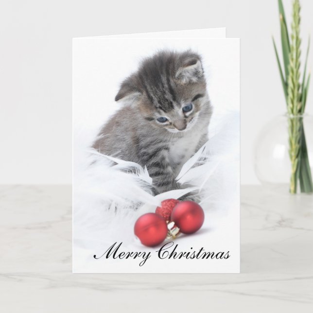 Tarjeta de Navidad del gatito (Anverso)