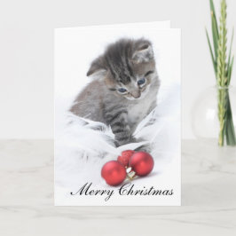 Tarjeta de Navidad del gatito