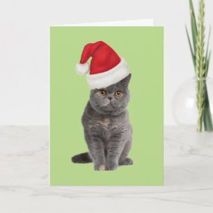 tarjeta de Navidad del gatito
