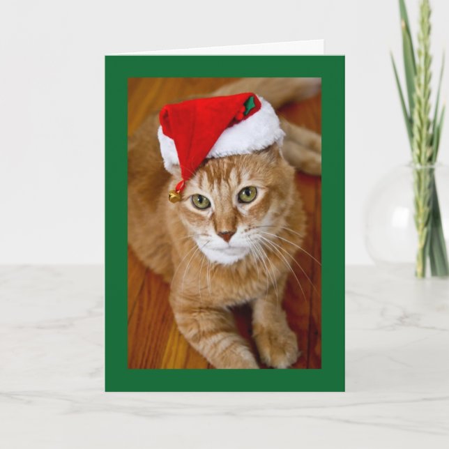 Tarjeta de Navidad del gatito de Santa (Anverso)