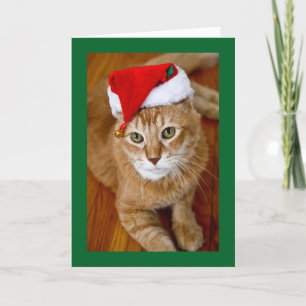 Tarjeta de Navidad del gatito de Santa