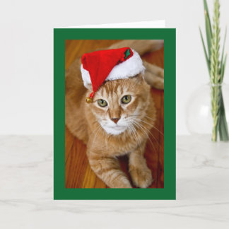 Tarjeta de Navidad del gatito de Santa