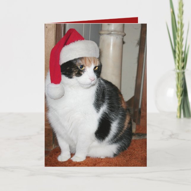 Tarjeta de Navidad del gatito de Santa para el (Anverso)