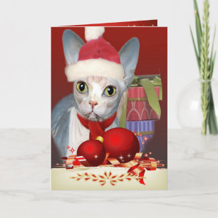 Tarjeta de Navidad del gatito de Sphynx