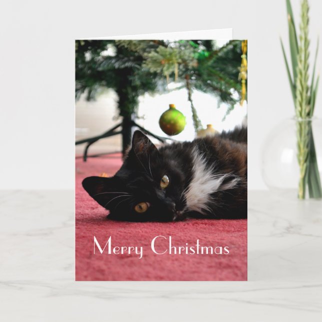 Tarjeta de Navidad del gato (Anverso)
