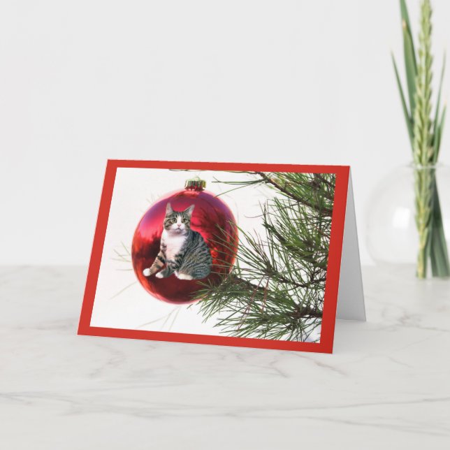 Tarjeta de Navidad del gato (Anverso)