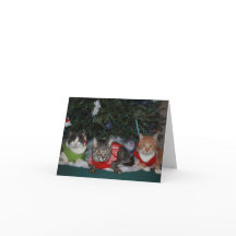 Tarjeta de Navidad del gato