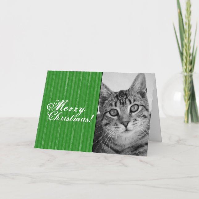 Tarjeta de Navidad del gato de Tabby (Anverso)
