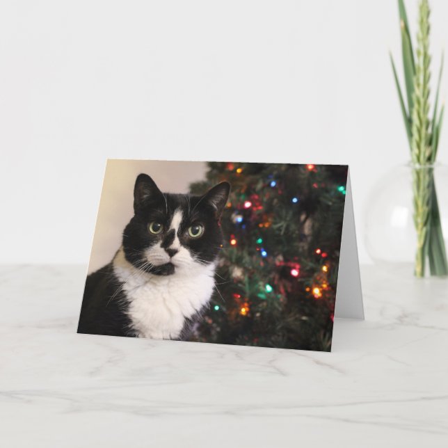 Tarjeta de Navidad del gato del smoking (Anverso)