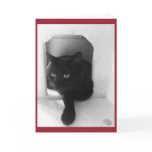 Tarjeta de Navidad del gato negro