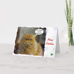 Tarjeta de Navidad del gato persa
