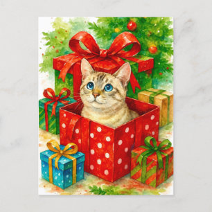 Tarjeta de Navidad del Gato Sorpresa Acogedor