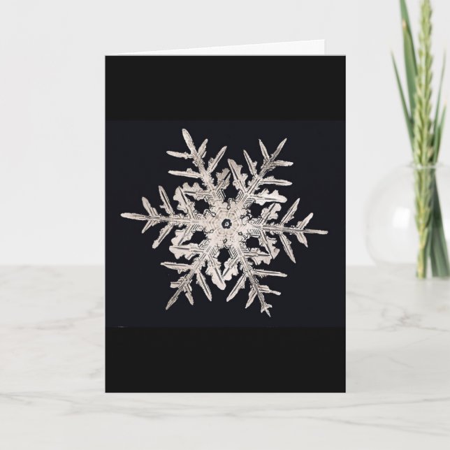 Tarjeta de Navidad del genio de Bentley del copo (Anverso)