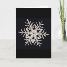 Tarjeta de Navidad del genio de Bentley del copo