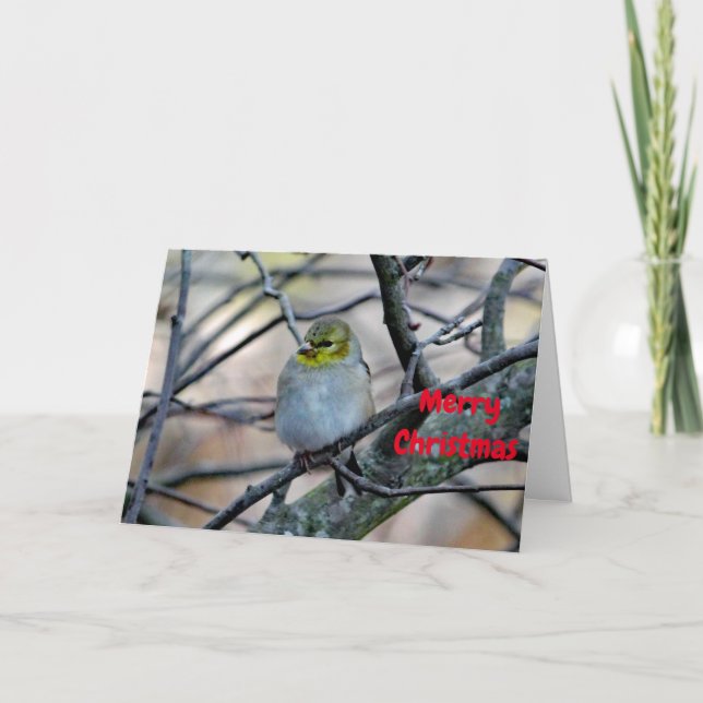 Tarjeta de Navidad del Goldfinch 3900 (Anverso)