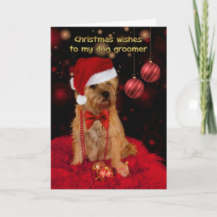 Tarjeta de Navidad del Groomer del perro, frontera