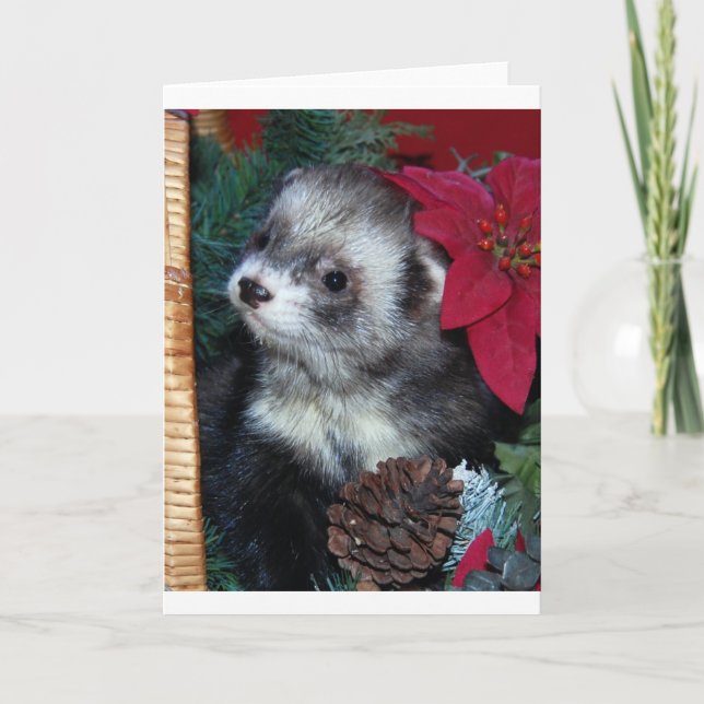 Tarjeta de Navidad del hurón (Anverso)