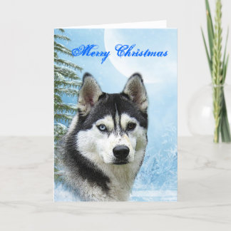 Tarjeta de Navidad del husky siberiano