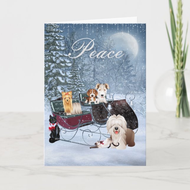 Tarjeta de Navidad del invierno con los perros, (Anverso)