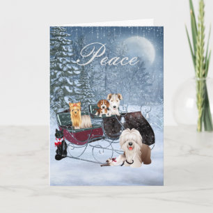Tarjeta de Navidad del invierno con los perros,