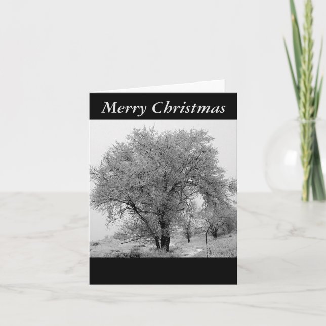 Tarjeta de Navidad del invierno de Colorado (Anverso)