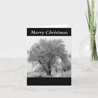 Tarjeta de Navidad del invierno de Colorado