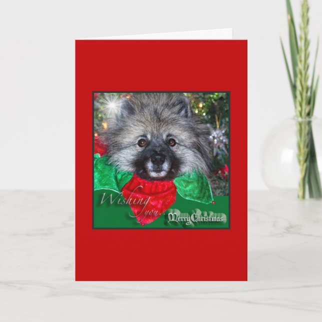 Tarjeta de Navidad del Keeshond (Anverso)