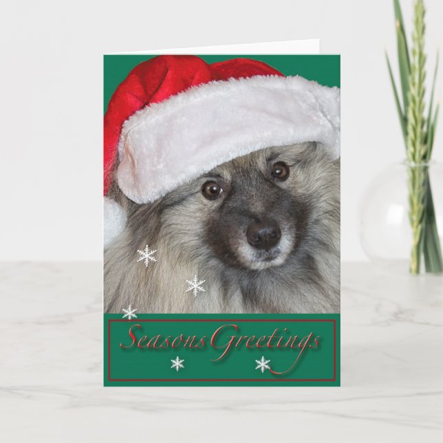 Tarjeta de Navidad del Keeshond (Anverso)